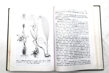 1769762244979923.jpg 4.JPG